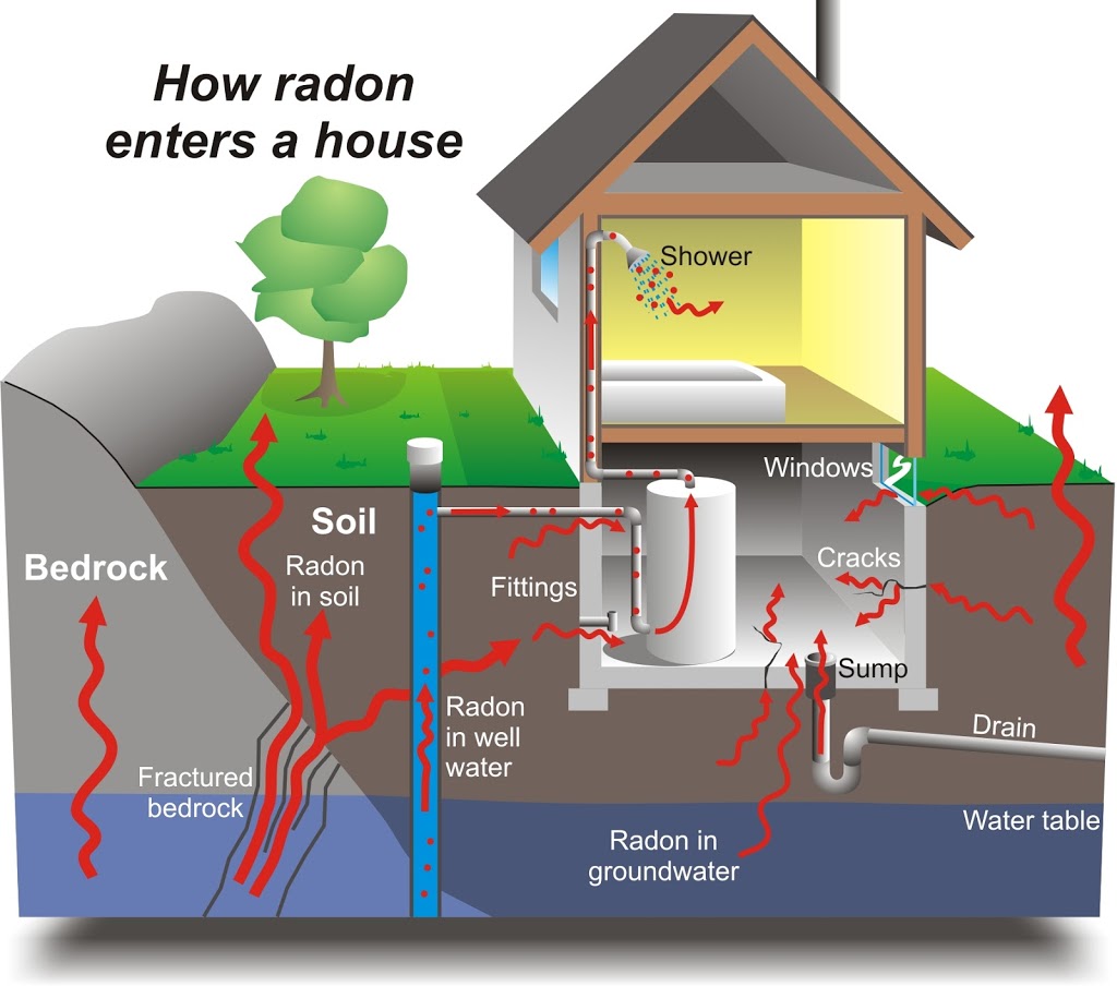 Champion Home Inspections | 1988 Marisa Ct, Brights Grove, ON N0N 1C0, Canada | Phone: (519) 312-4539