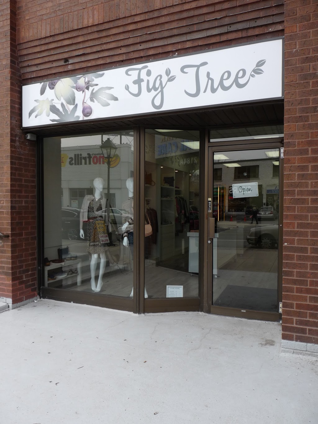 Fig Tree | 2184 Bloor St W, Toronto, ON M6S 1N3, Canada | Phone: (416) 767-0777