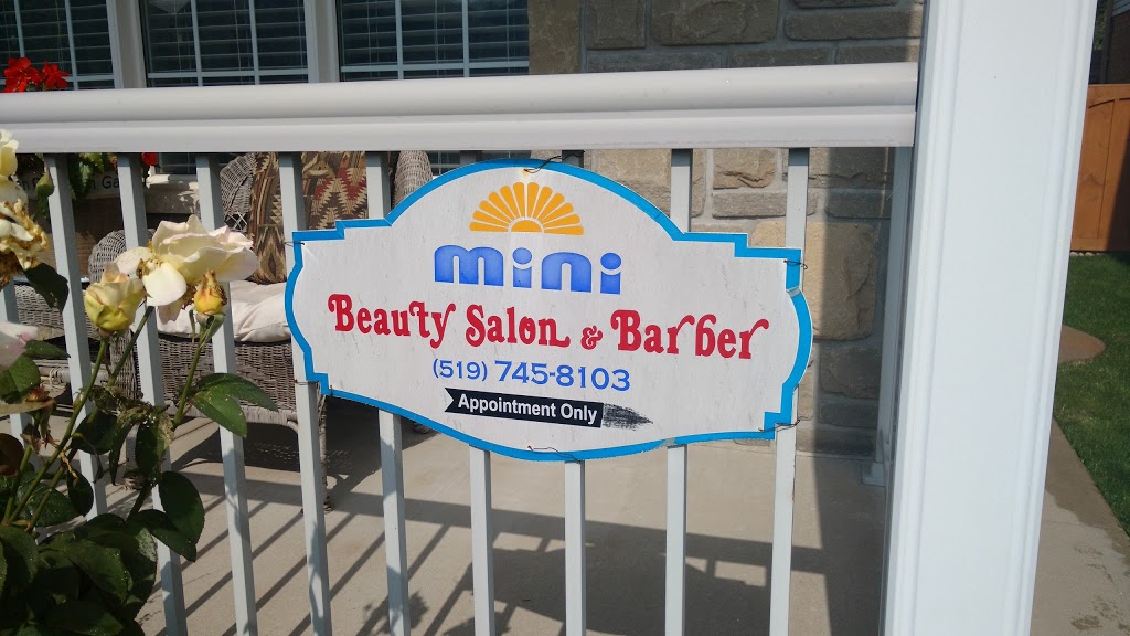 Mini Beauty Salon | 223 Hawkswood Dr, Kitchener, ON N2K 4J2, Canada