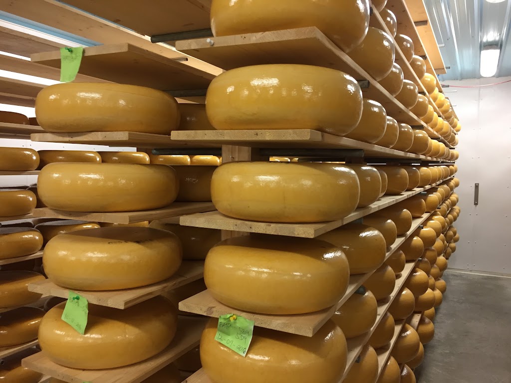 Sylvan Star Cheese Ltd | 39008 Range Rd 10, Alberta T4E 0G4, Canada | Phone: (403) 340-1560