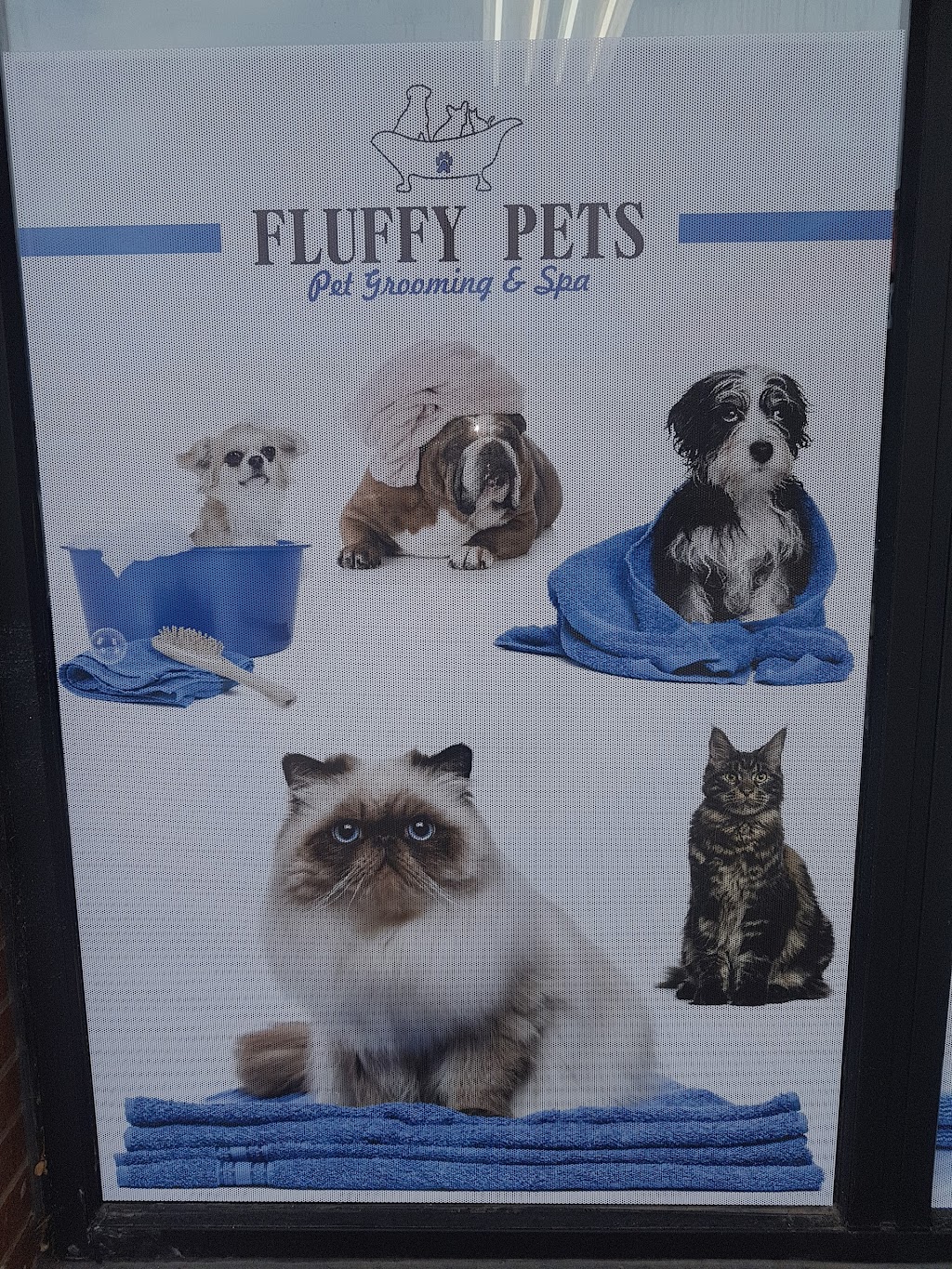 Fluffy Pets | 3110 Kingston Rd #3, Scarborough, ON M1M 1P2, Canada | Phone: (647) 289-5096