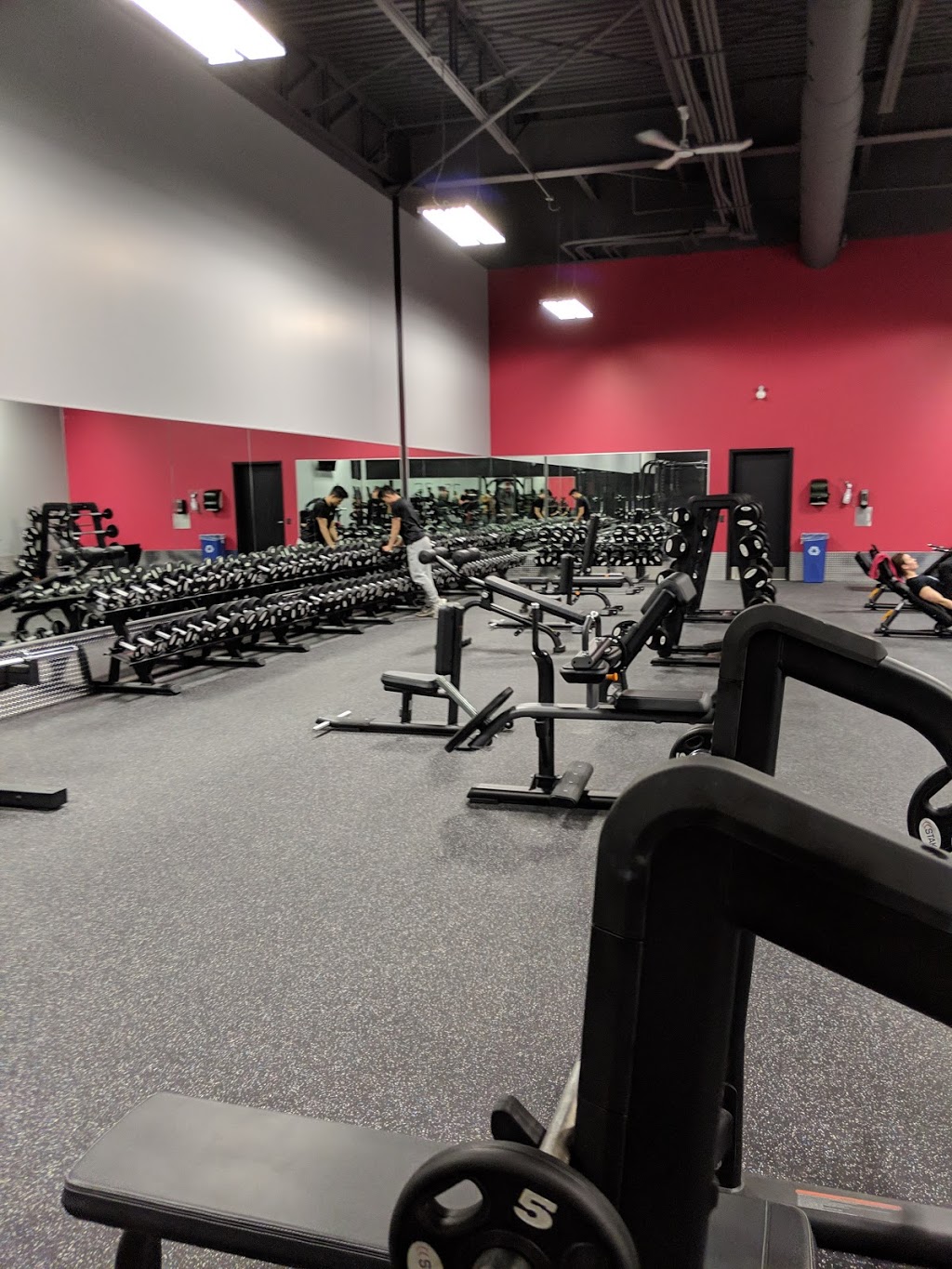 World Gym Brossard | 7250 Boulevard Taschereau, Brossard, QC J4W 1M9, Canada | Phone: (450) 912-4300