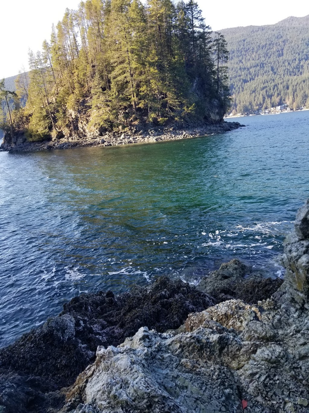 Jug Island Trailhead | Jug Island Trail, Belcarra, BC V3H 4N6, Canada