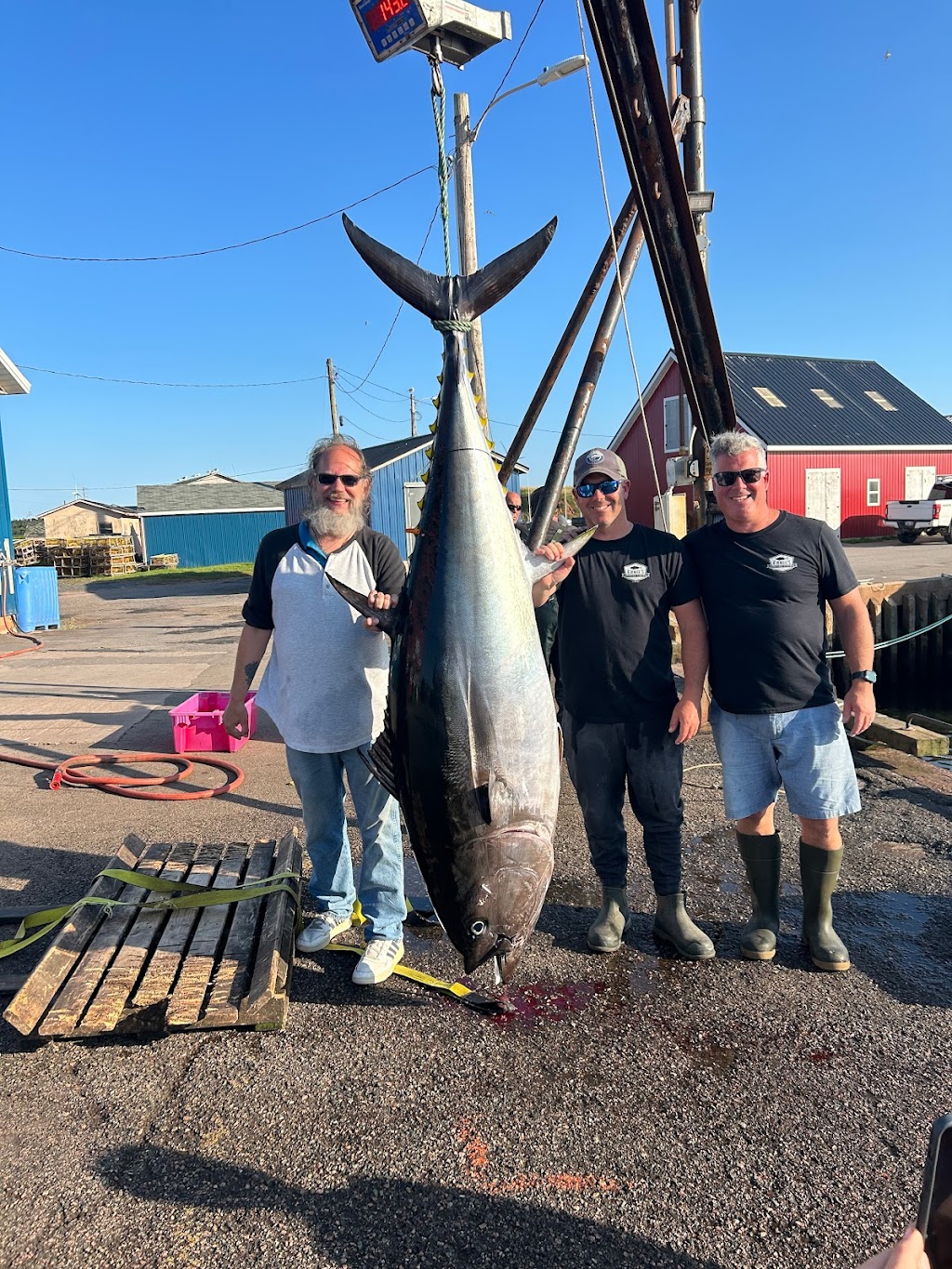 Ernies Charter Fishing - Bluefin Tuna and Deep Sea Fishing | N Lake Harbour Rd, Souris, PE C0A 2B0, Canada | Phone: (902) 940-7033