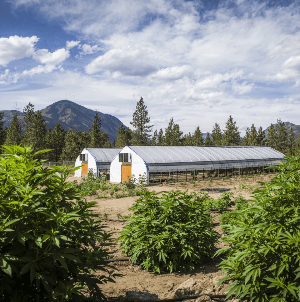 EarthWolf Farms | 1199 Whitney Rd, Lillooet, BC V0K 1V0, Canada | Phone: (604) 902-1324