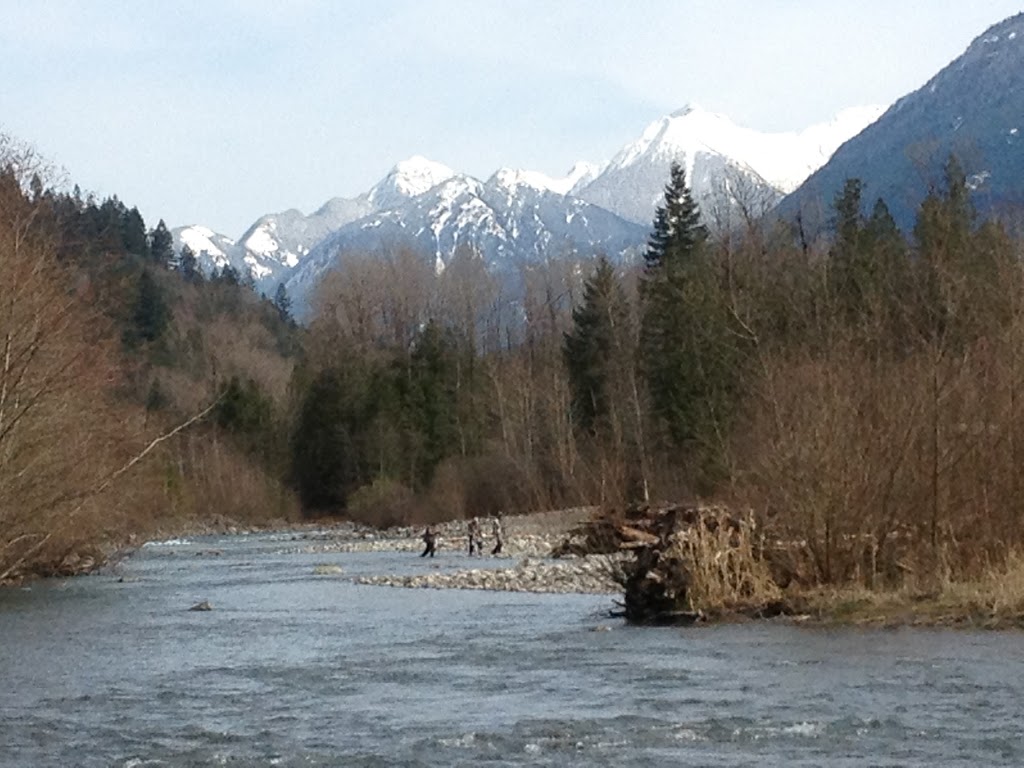 Tightline Fishing Adventures - Salmon SturgeonTrout Fishing | 49280 Bell Acres Rd, Chilliwack, BC V4Z 1C1, Canada | Phone: (604) 702-8224