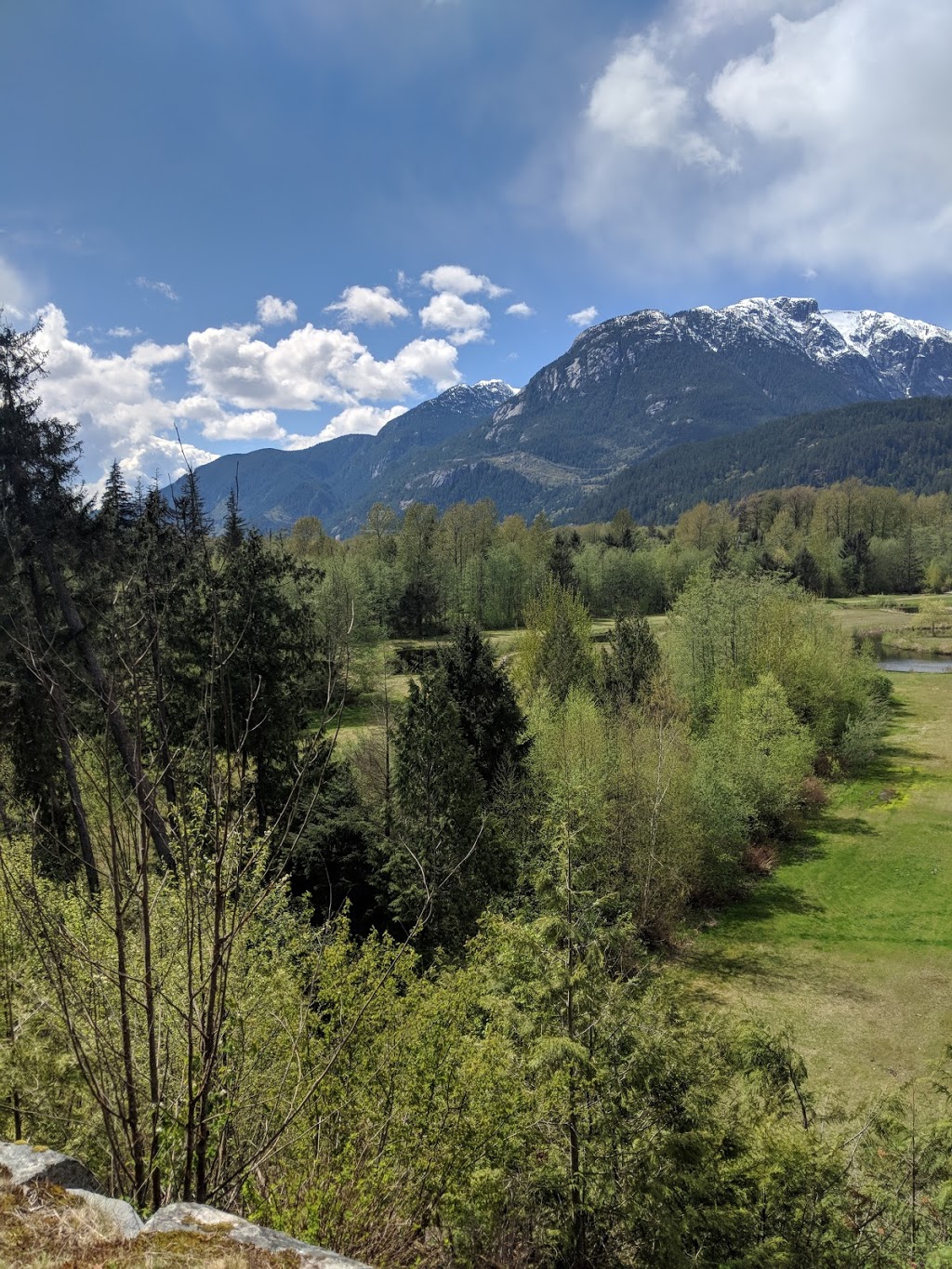 Coho Park Trail | 40460 Parkway Rd, Squamish, BC V8B 0L1, Canada