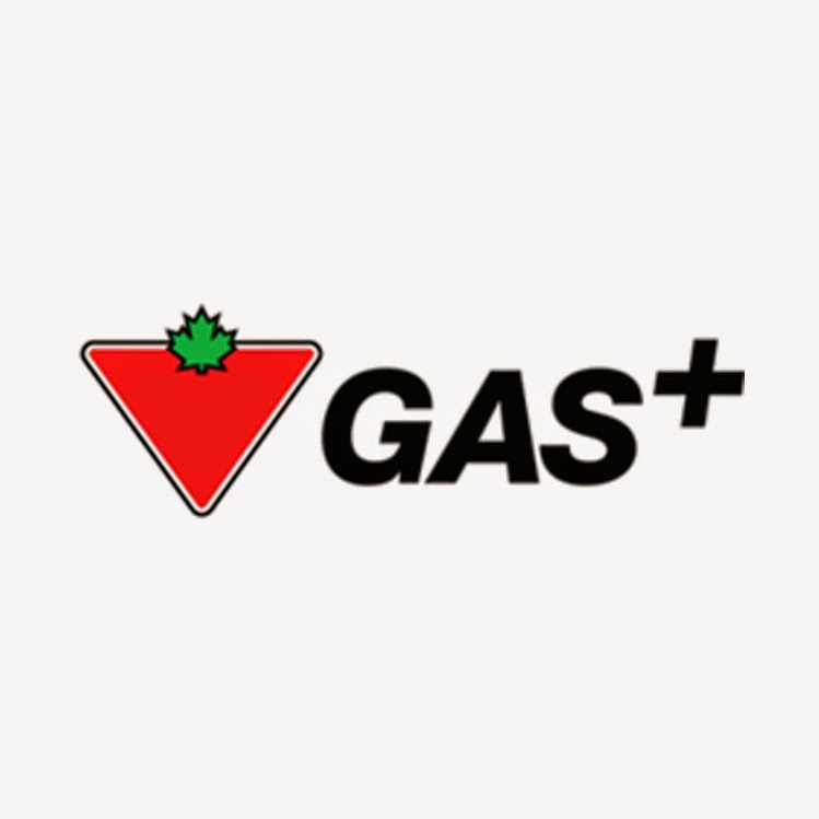 Canadian Tire Gas+ - Simcoe | 136 Queensway East, Simcoe, ON N3Y 4Y7, Canada | Phone: (519) 426-8160