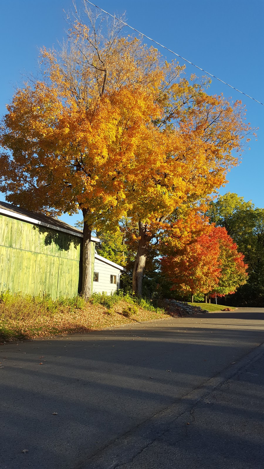 Brooklin Community Ctr | 45 Cassels Rd E, Whitby, ON L1M 1A4, Canada | Phone: (905) 655-3139