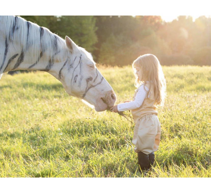 The Rustic Lens Photography & Design | 111 Bonnechere St W, Eganville, ON K0J 1T0, Canada | Phone: (613) 717-0240