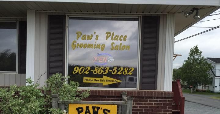 Paws Place Grooming Salon | 102 Post Rd, Antigonish, NS B2G 2K6, Canada | Phone: (902) 863-5282