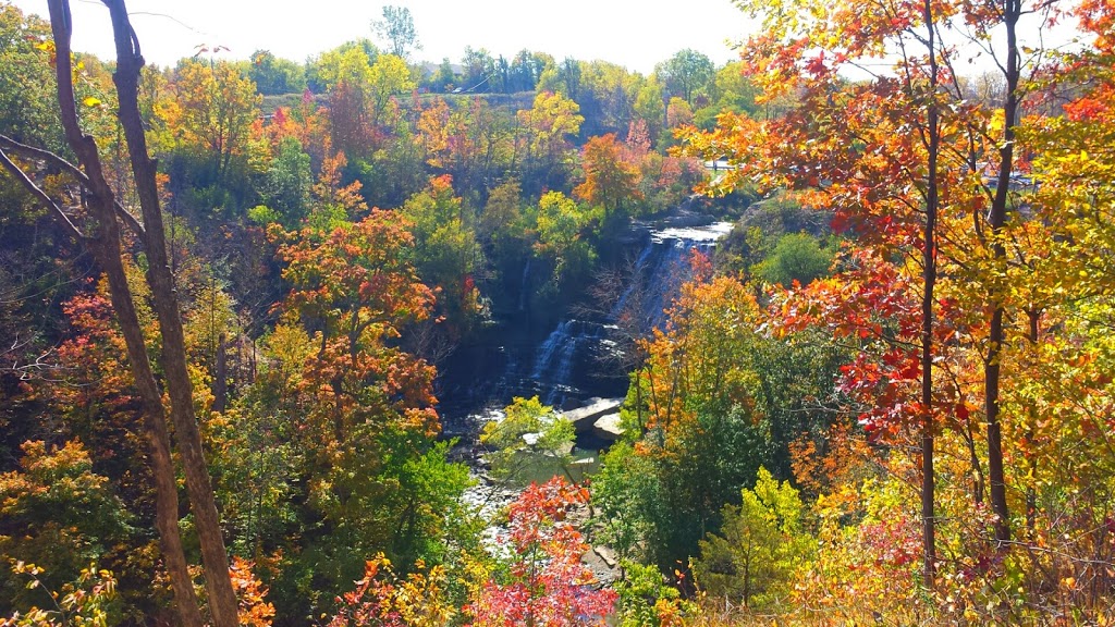 Upper Kings Forest Park | Albion Falls, Hamilton, ON L8K, Canada