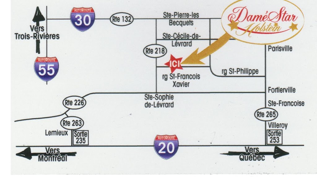 Daméstar Holstein | 71 Rang Saint François Xavier, Sainte-Cécile-de-Lévrard, QC G0X 2M0, Canada | Phone: (819) 263-0221