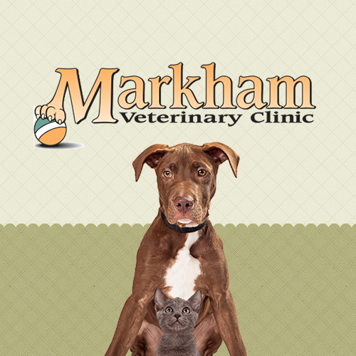Markham Veterinary Clinic | 6605 Hwy 7 #13/14, Markham, ON L3P 7P1, Canada | Phone: (905) 294-0522