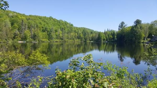 Hotel Le Petit Lac | 2010 Chemin Pierre Péladeau, Sainte-Adèle, QC J8B 1Z5, Canada | Phone: (450) 745-4545