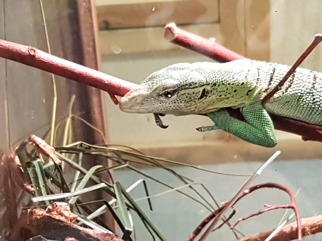 Little Rays Reptile Zoo and Nature Centre- Hamilton | 869 Barton St E, Hamilton, ON L8L 3B4, Canada | Phone: (905) 549-6868