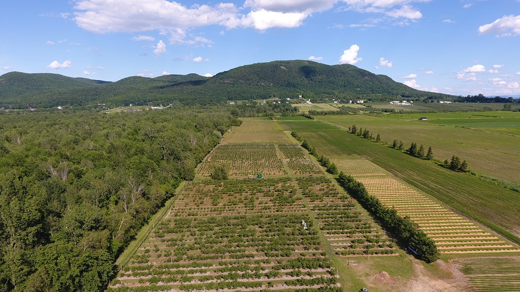 Aux saveur de la terre | 1325 Rang Elmire, Saint-Paul-dAbbotsford, QC J0E 1A0, Canada | Phone: (450) 772-6214