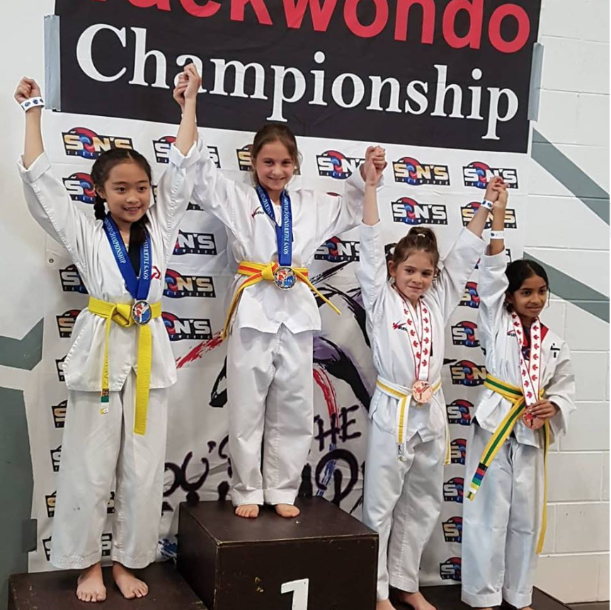 Tyves Taekwondo & training Studio | 37 Sandalwood Cres, St. Davids, ON L0S 1P0, Canada | Phone: (905) 321-9938