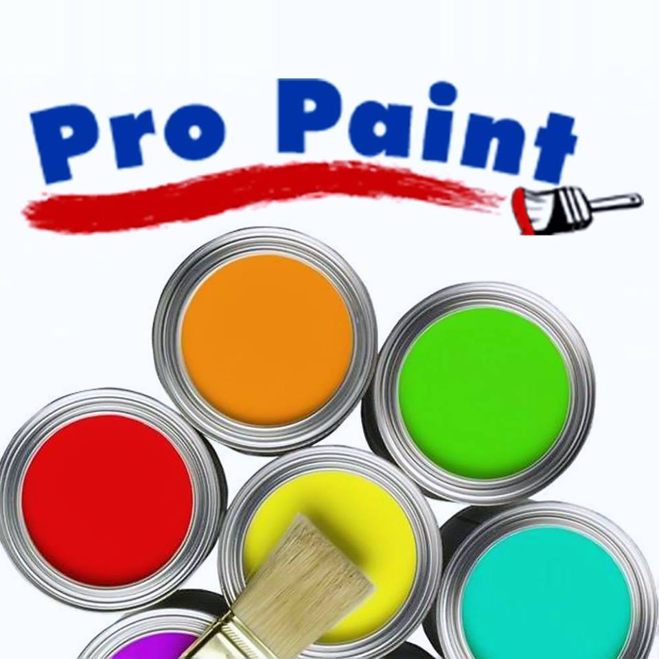 Pro Paint Of WNY | 5153 Glenwood Dr, Williamsville, NY 14221, USA | Phone: (716) 741-9581