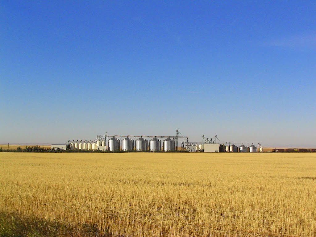 L.A. Grain Ltd. | 75030, Range Rd 203a, Lethbridge County, AB T1K 8G9, Canada | Phone: (403) 327-9787