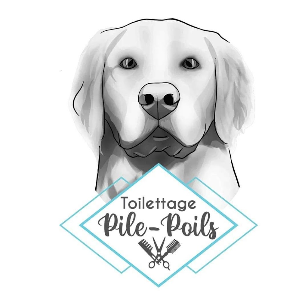 Pile-Poils - Boutique & Toilettage | 144 Rue Saint-Georges, Windsor, QC J1S 1J6, Canada | Phone: (819) 640-9417