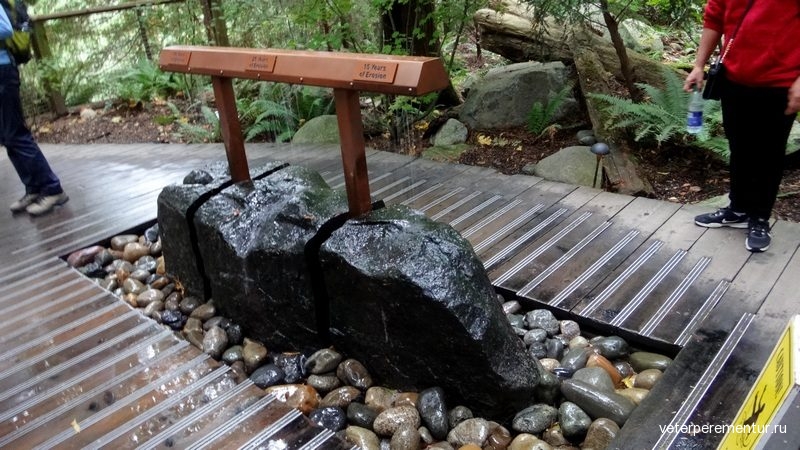 CliffWalk | Unnamed Road, North Vancouver, BC V7R 4J1, Canada