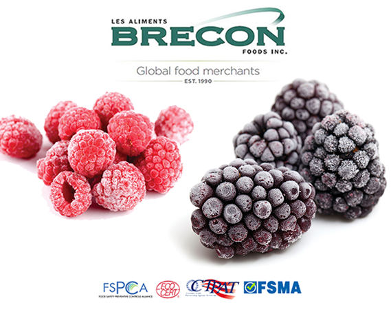 Brecon Food Inc | 189 Boul Hymus, Pointe-Claire, QC H9R 1E9, Canada | Phone: (514) 426-8140