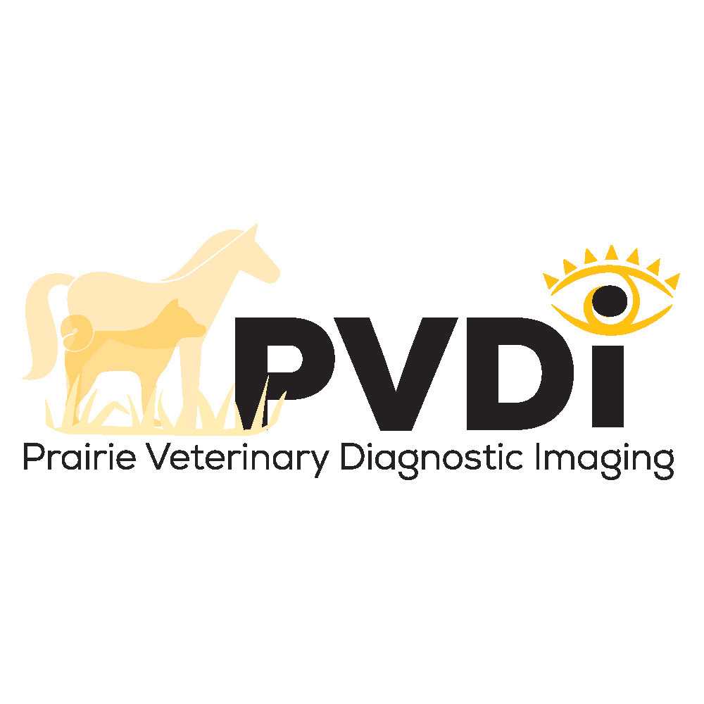 Prairie Veterinary Diagnostic Imaging | E, 411 Herold Ct, Saskatoon, SK S7V 0A7, Canada | Phone: (306) 242-9994