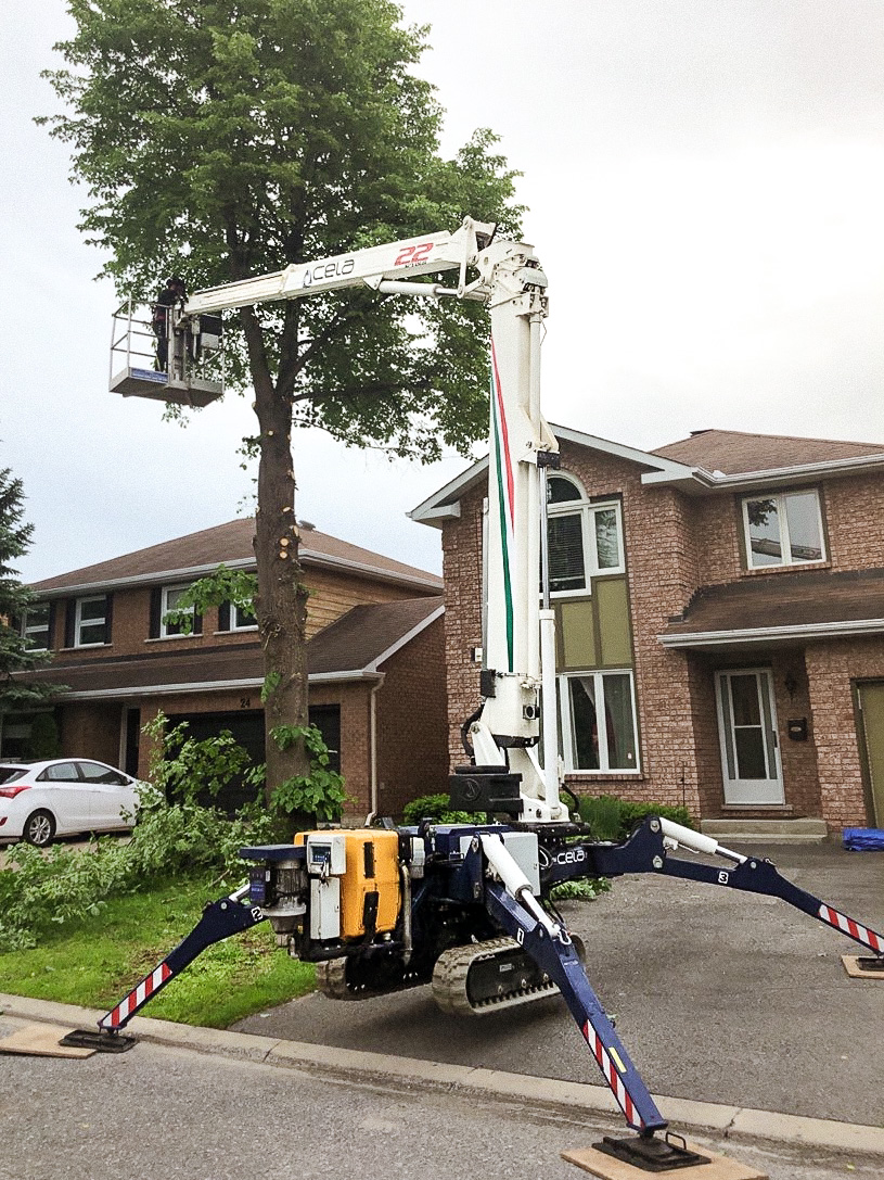 VS Tree Services | 4886 Bank St, Gloucester, ON K1X 1G7, Canada | Phone: (613) 774-5296