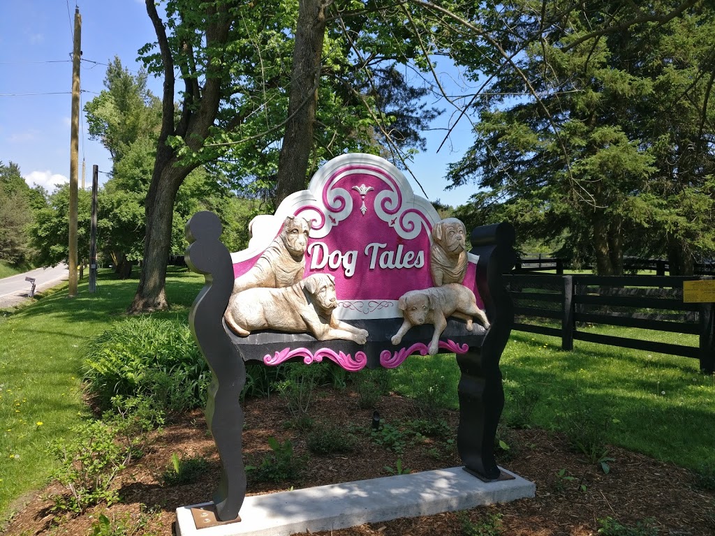 Dog Tales Rescue & Sanctuary | 1405 19th Sideroad, King City, ON L7B 1K5, Canada | Phone: (905) 713-1887