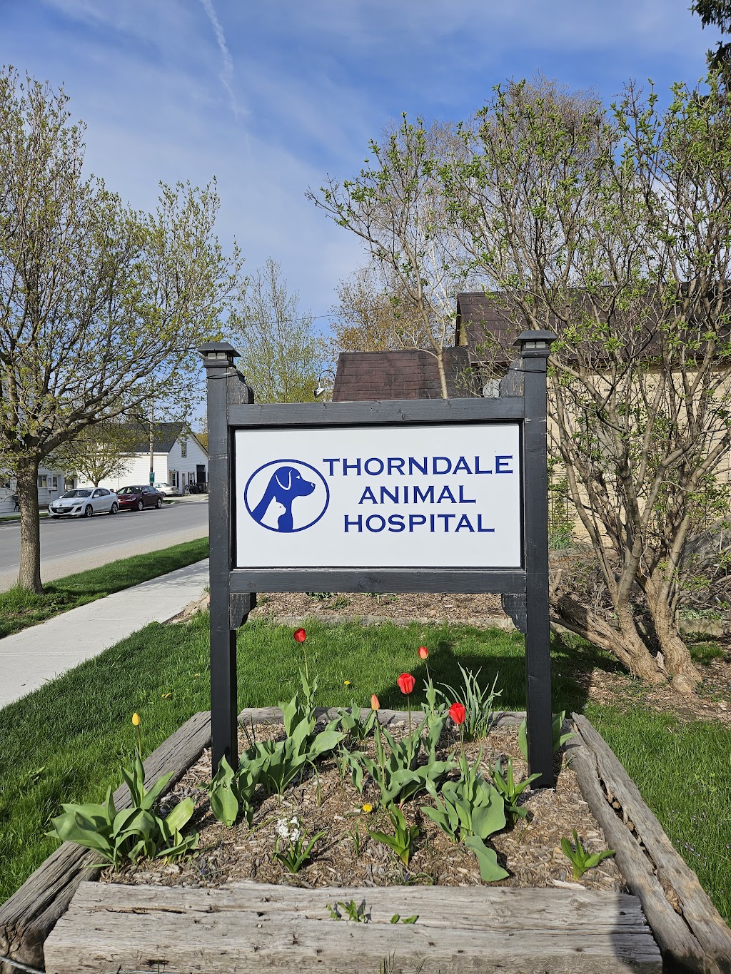 Thorndale Animal Hospital | 233 King St, Thorndale, ON N0M 2P0, Canada | Phone: (519) 433-6900