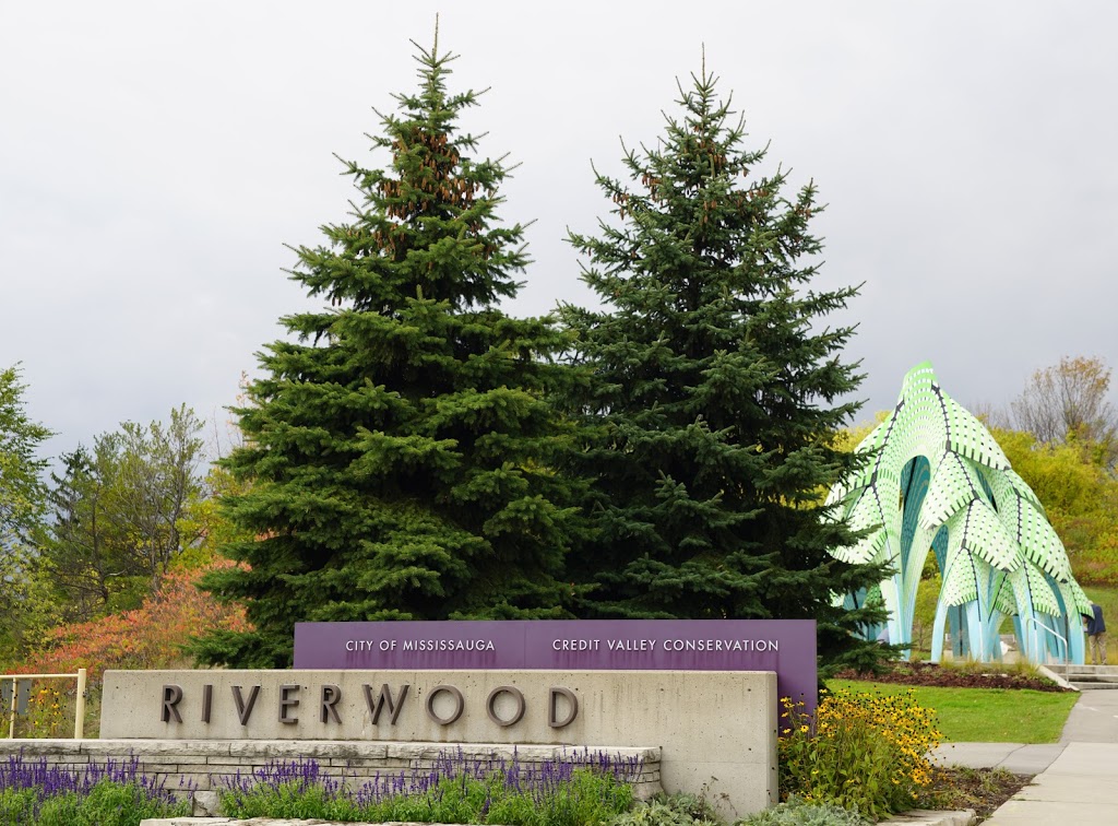 Pine Sanctuary | Riverwood Park Ln, Mississauga, ON L5C 2S7, Canada | Phone: (905) 279-5878