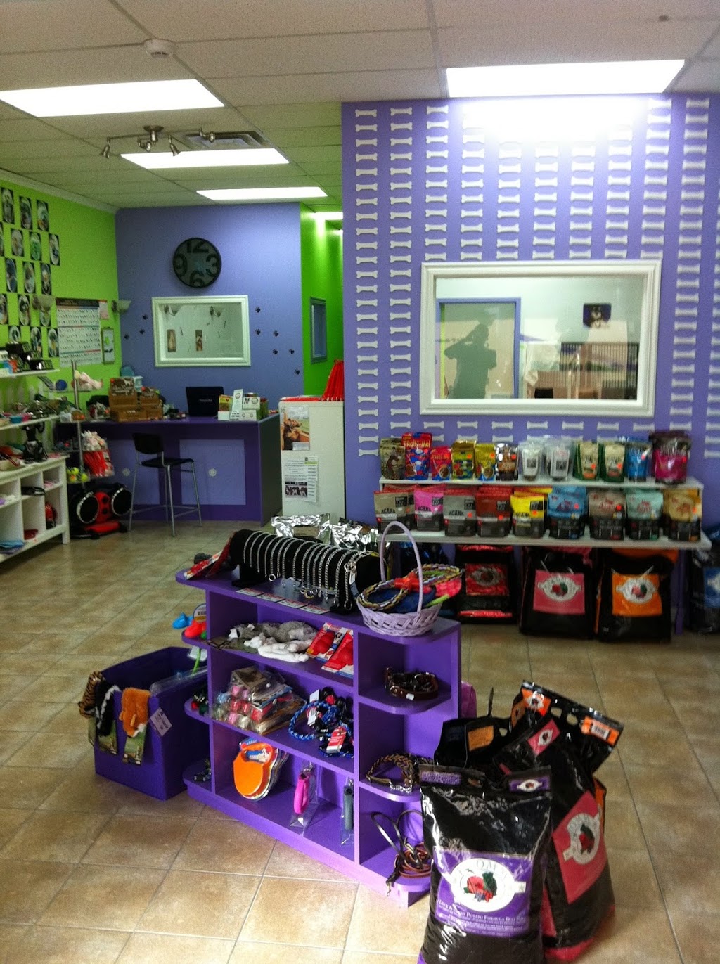 Le PET TOWN | 4555 Boulevard Saint-Charles, Pierrefonds, QC H9H 3C7, Canada | Phone: (514) 675-7387