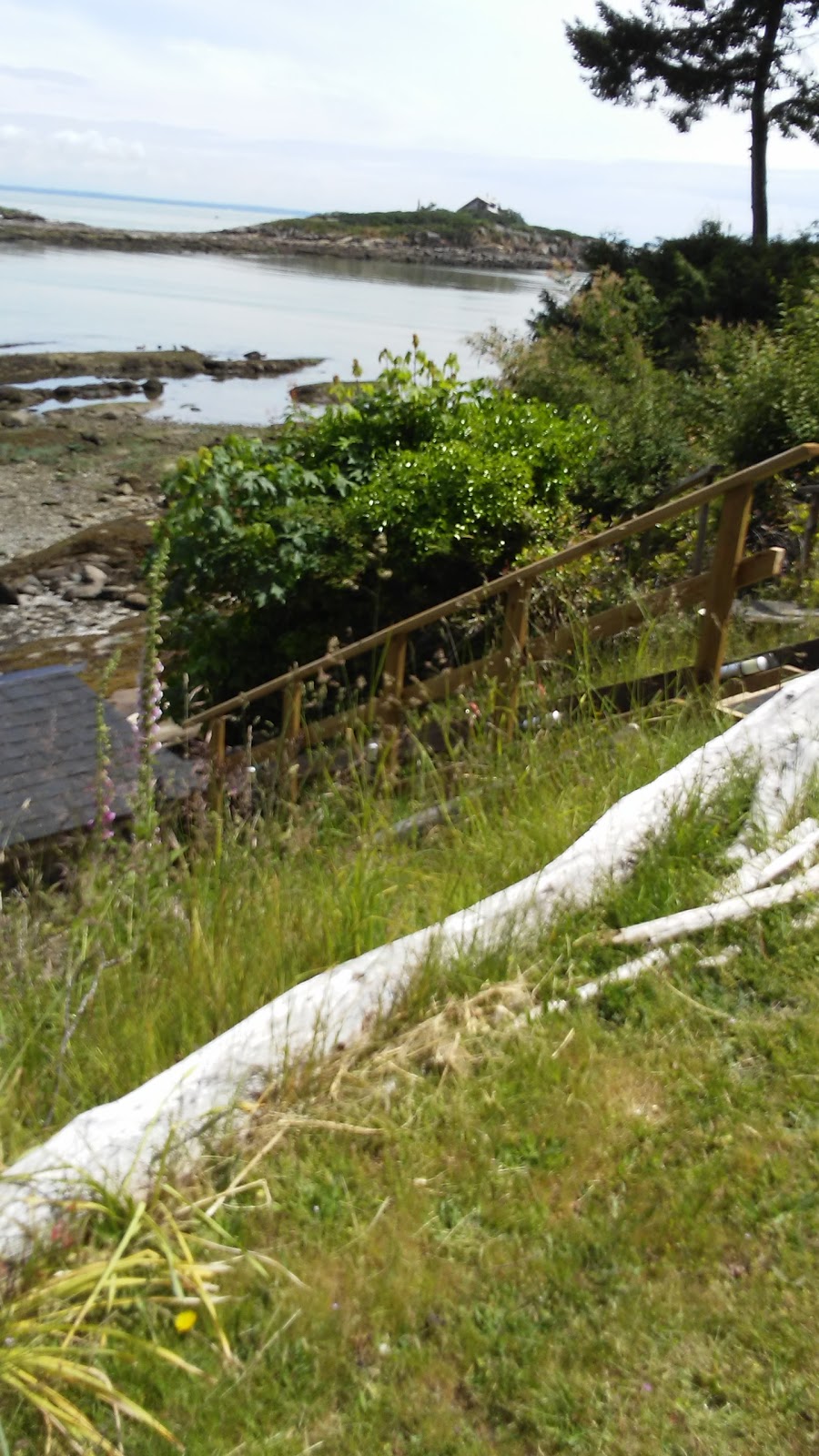 Morning Beach | 109 Harper Rd, Galiano Island, BC V0N 1P0, Canada