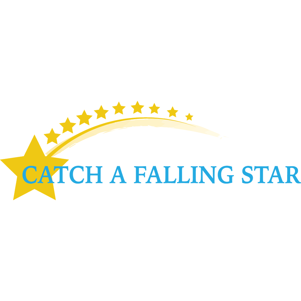 Catch A Falling Star | 36 Woodgate Dr, Lancaster, NY 14086, USA | Phone: (716) 656-8641