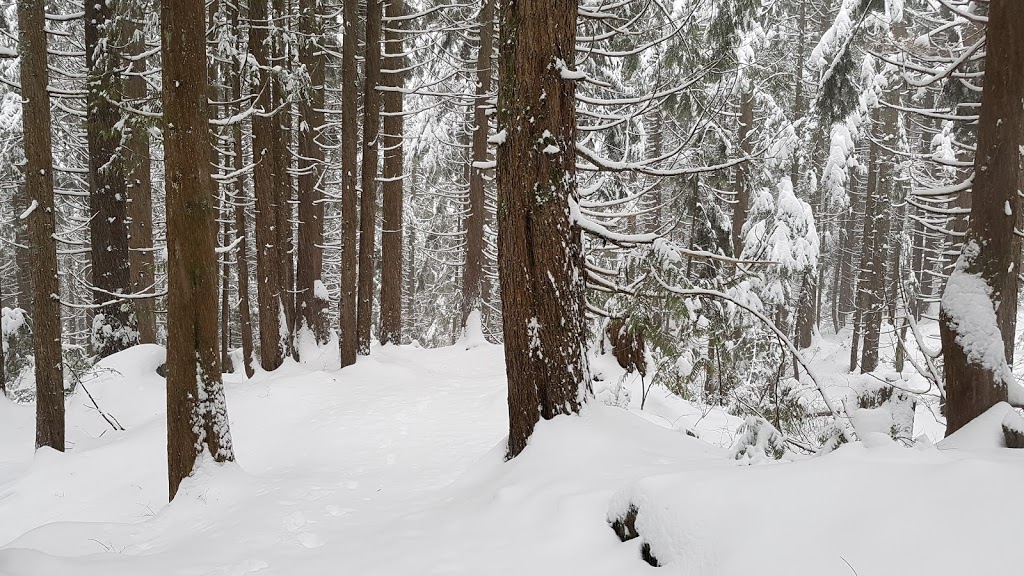 Perimeter Trail | Perimeter Trail, North Vancouver, BC V7G 1L3, Canada