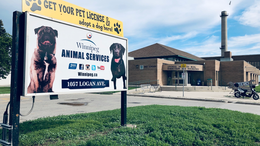 Animal Services Agency | 1057 Logan Ave, Winnipeg, MB R3E 3N8, Canada | Phone: (877) 311-4974