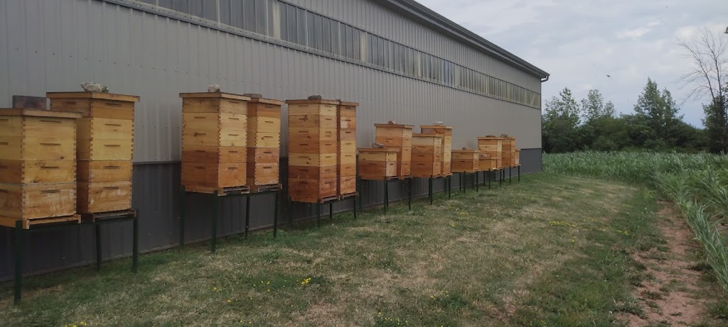 Meijerinks Bee Farm | 501 Main St W, Grimsby, ON L3M 1T4, Canada | Phone: (905) 945-1364