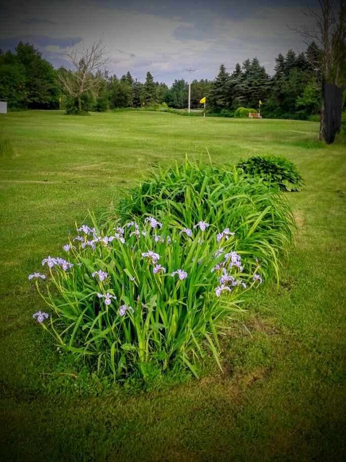 Golf les écureuils champ de pratique | 1283 Rte 138 Ouest 1-418-932-1114, Donnacona, QC G3M 1C7, Canada | Phone: (418) 932-1114