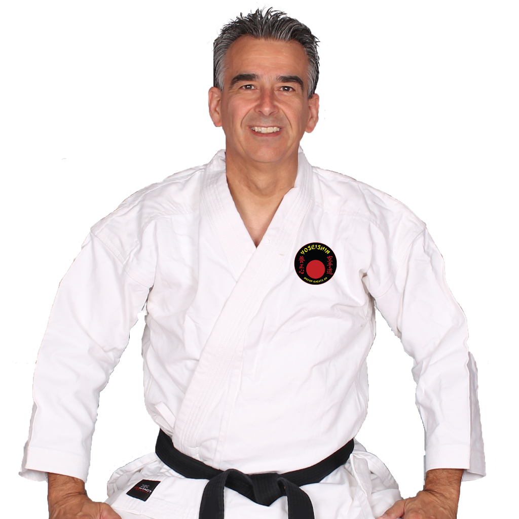 Center Martial Arts Robert Paquette | 250 Rue Hubert, Beloeil, QC J3G 2S9, Canada | Phone: (450) 626-3456
