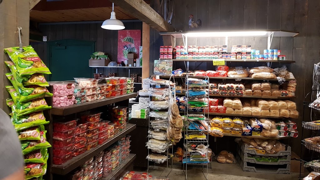 Cultivateur St Constant | 350 Voie de Desserte de la Route 132, Saint-Constant, QC J5A 1M3, Canada | Phone: (450) 635-2262