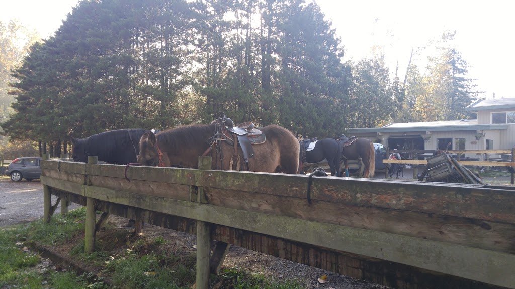 Langley 204 Horseback Riding | 543 204 St, Langley City, BC V2Z 1V5, Canada | Phone: (604) 533-7978