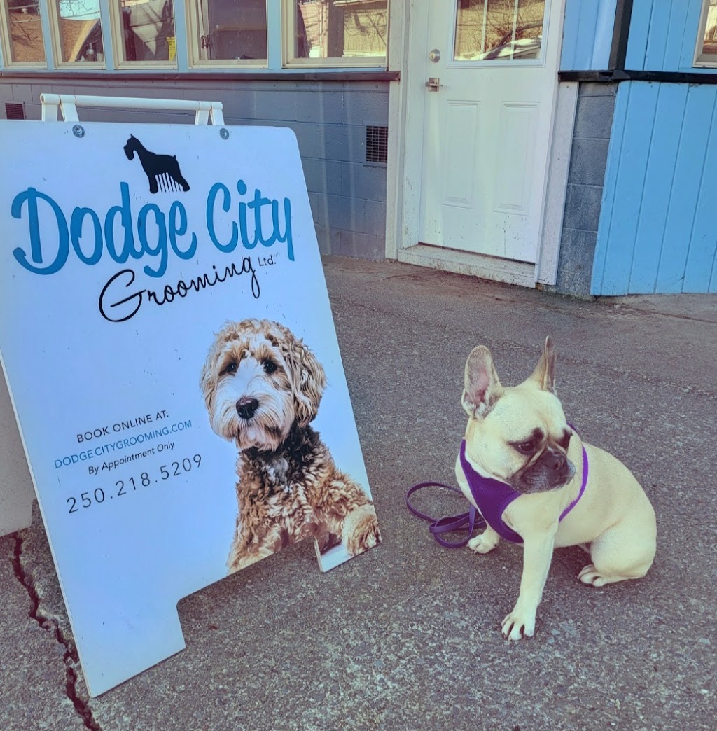 Dodge City Grooming Salon Ltd | 2699 Dunsmuir Ave, Cumberland, BC V0R 1S0, Canada | Phone: (250) 218-5209