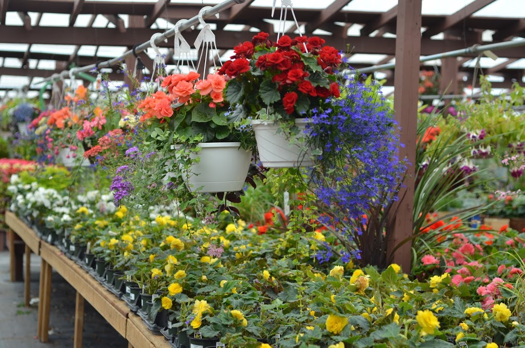 Windermere Garden Centre | 1453 Deebank Rd, Utterson, ON P0B 1M0, Canada | Phone: (705) 769-3238