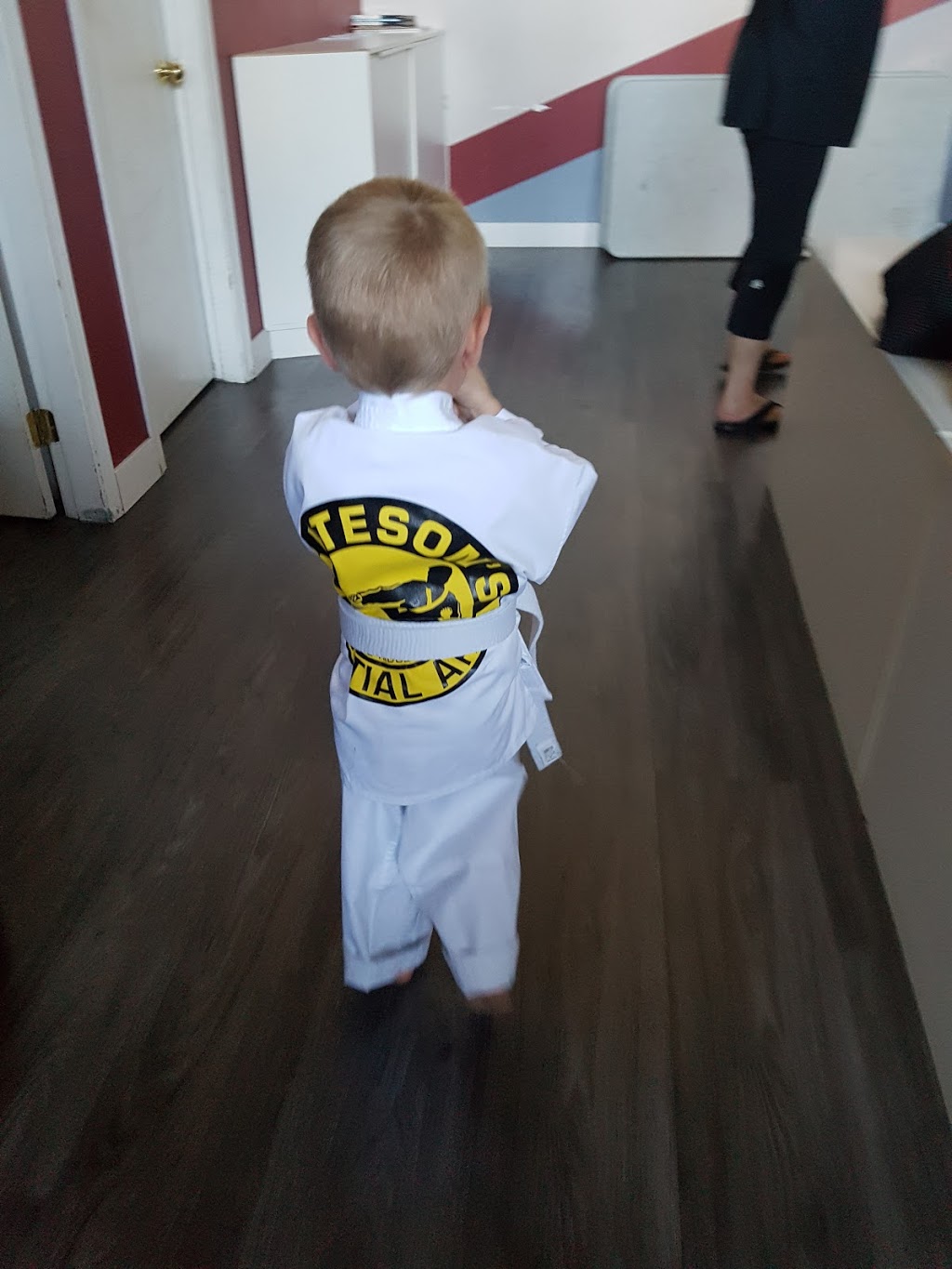 Batesons Martial Arts | 11393 Kingston St, Maple Ridge, BC V2X 0Y7, Canada | Phone: (604) 460-0046