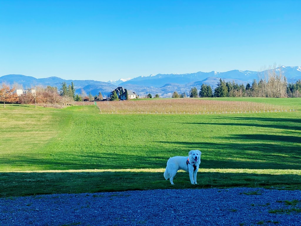 Mt Lehman Winery | 5094 Mount Lehman Rd, Abbotsford, BC V4X 1Y3, Canada | Phone: (604) 746-2881