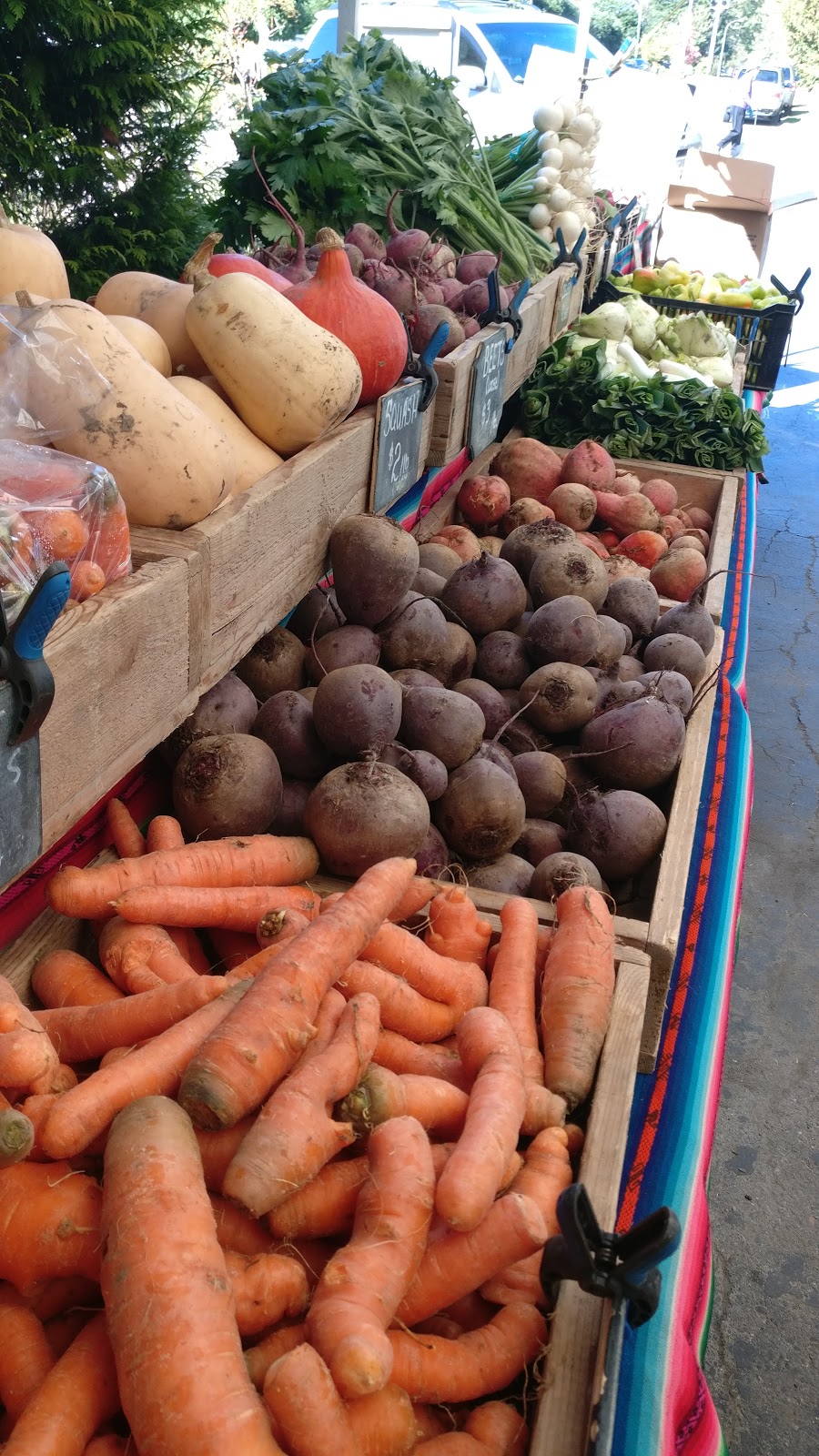 Nutrient Dense Farm | 1524 Depot Rd E, Squamish, BC V8B 0M7, Canada