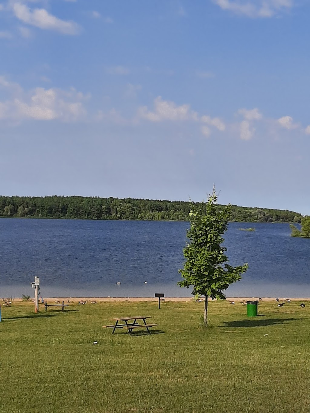 Guelph Lake Conservation Area | 7743 Conservation Rd RR4, Guelph, ON N1H 6J1, Canada | Phone: (519) 824-5061
