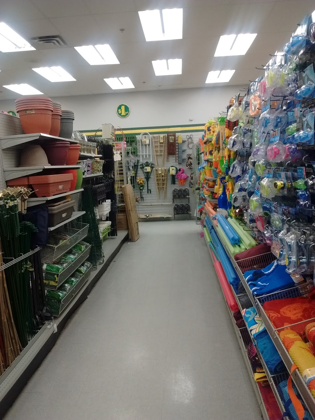 Dollarama | Country Shopping Centre, 301 Queen St S, Bolton, ON L7E 2B1, Canada | Phone: (905) 951-1891