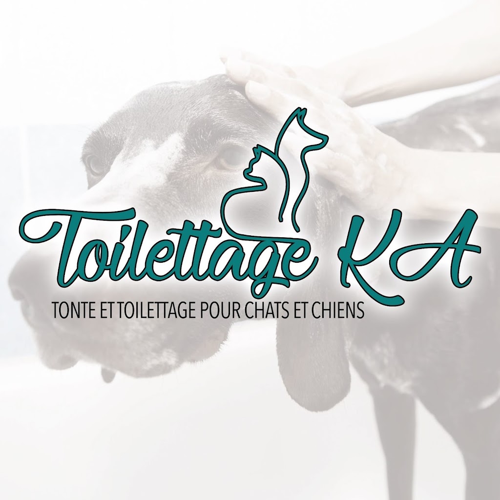 Toilettage KA | 1094 Rue Centrale, Saint-Agapit, QC G0S 1Z0, Canada | Phone: (418) 880-0620